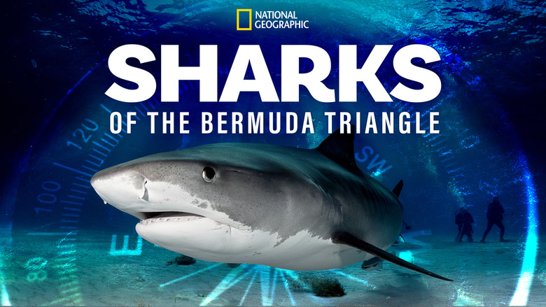 кадр из фильма Sharks of the Bermuda Triangle