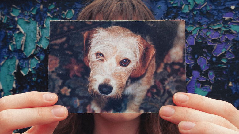 кадр из фильма Back to the Original Place