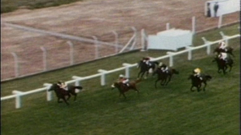 кадр из фильма Punters