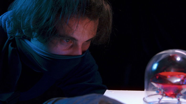 кадр из фильма That Feeling When We Dance