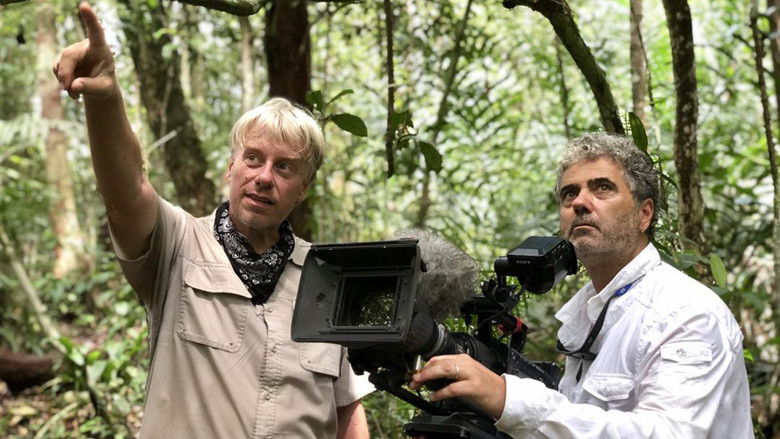 кадр из фильма Orang-Utans - Borneos Waldmenschen