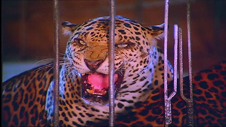 кадр из фильма அன்புக்கட்டளை