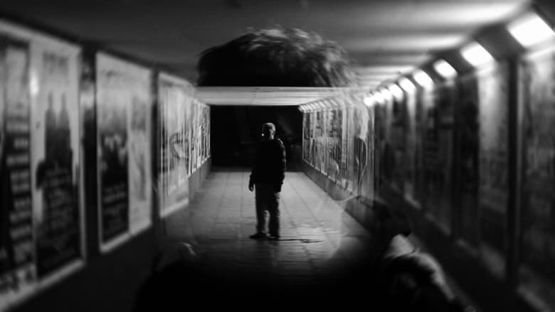 кадр из фильма Noctiflora