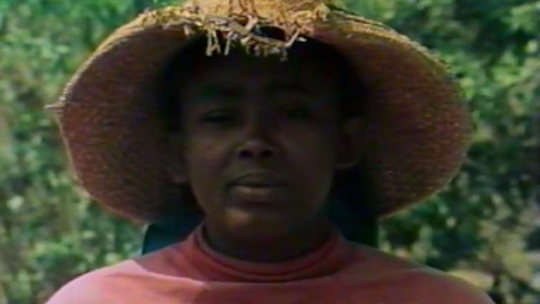 кадр из фильма Color de mujer