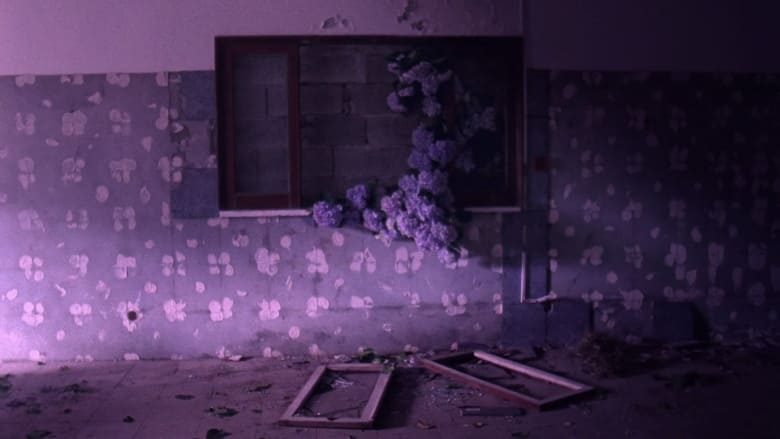 кадр из фильма Flores