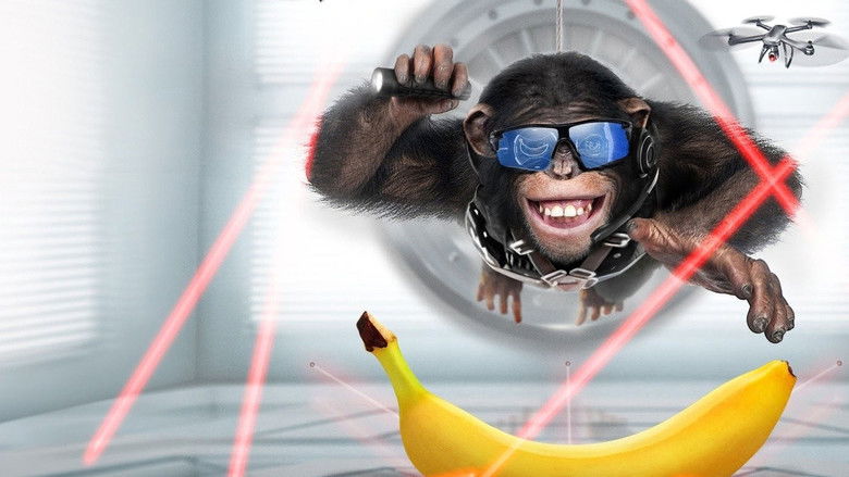 кадр из фильма Шимпанзе под прикрытием