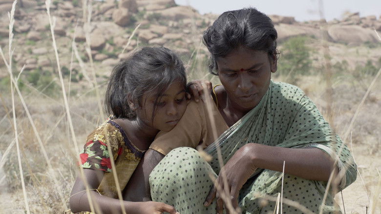 кадр из фильма Камешки