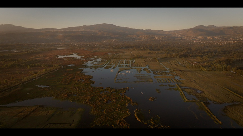 кадр из фильма Naciente