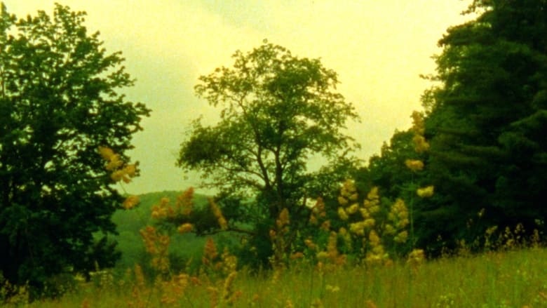 кадр из фильма Wildflowers