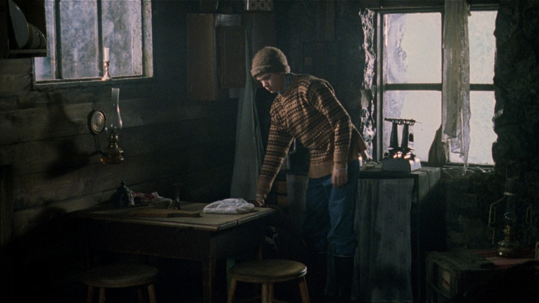 кадр из фильма Kaldaljós