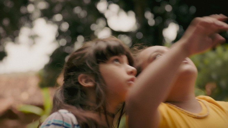 кадр из фильма A Natureza das Coisas Invisíveis