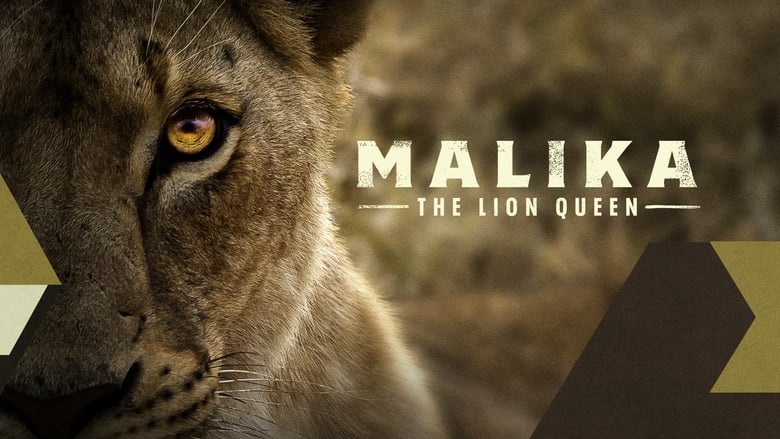 кадр из фильма Malika the Lion Queen