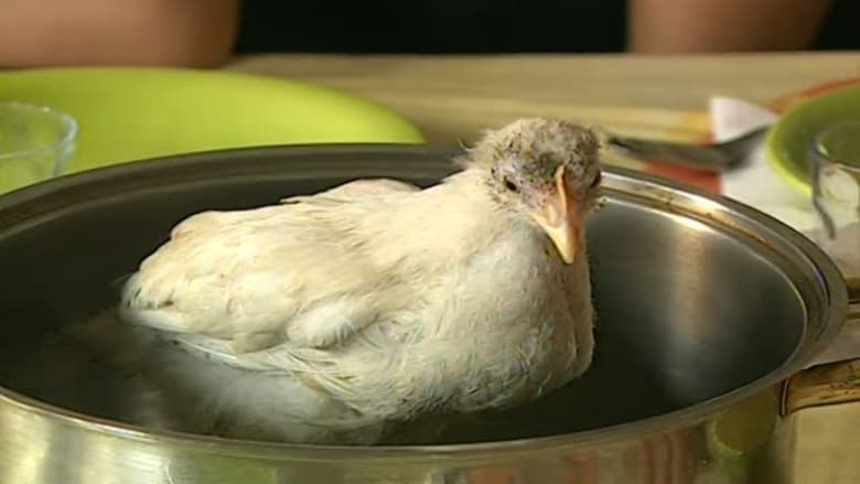 кадр из фильма Oturak İmparatoru Recep