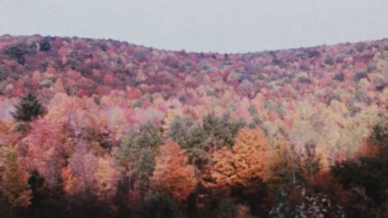 кадр из фильма Horizons