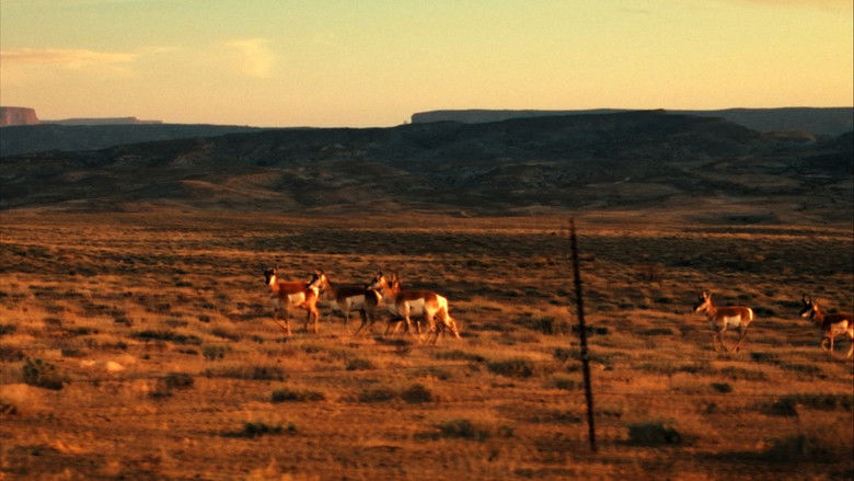 кадр из фильма Edward Abbey, naturellement subversif !