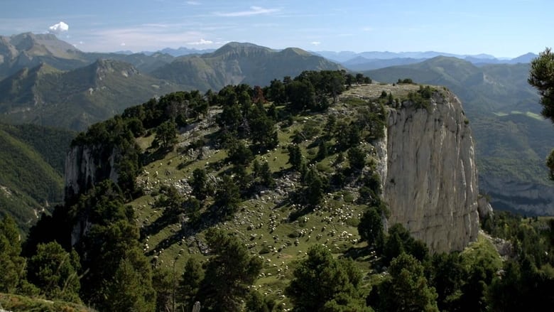 кадр из фильма La métaphysique du berger
