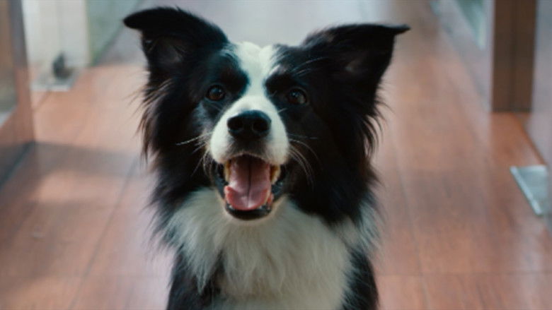 кадр из фильма 犬爱