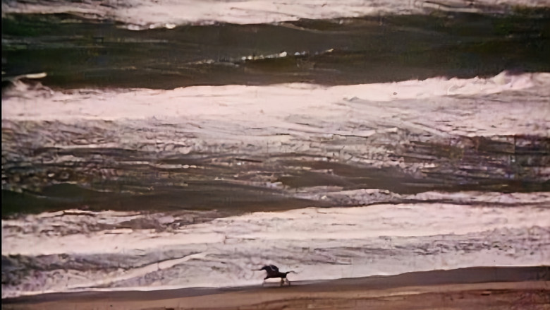 кадр из фильма Медея