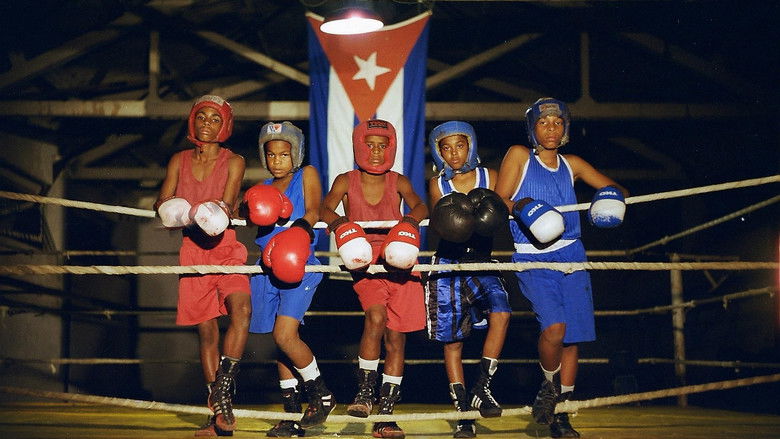 кадр из фильма Sons of Cuba