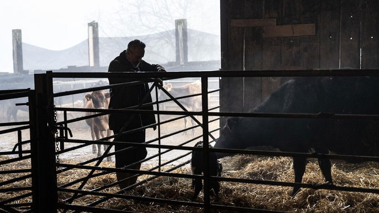 кадр из фильма Wake