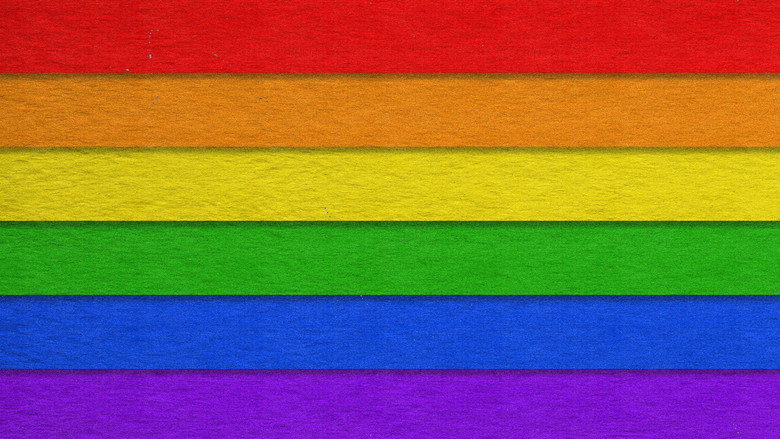 кадр из фильма 50 Jahre nach Stonewall