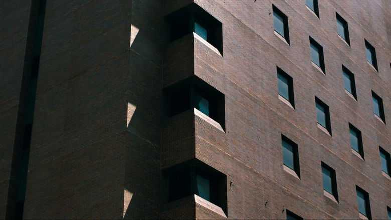 кадр из фильма Три одинаковых незнакомца