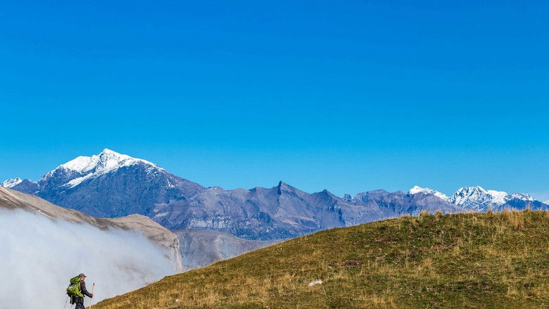 кадр из фильма Vivre avec les loups