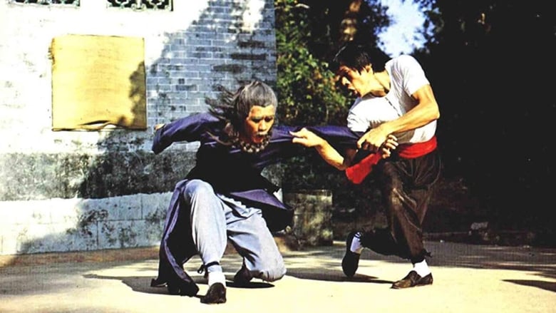 кадр из фильма Гусь-боксёр