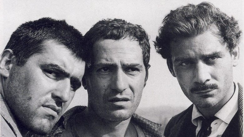 Верхом на тигре