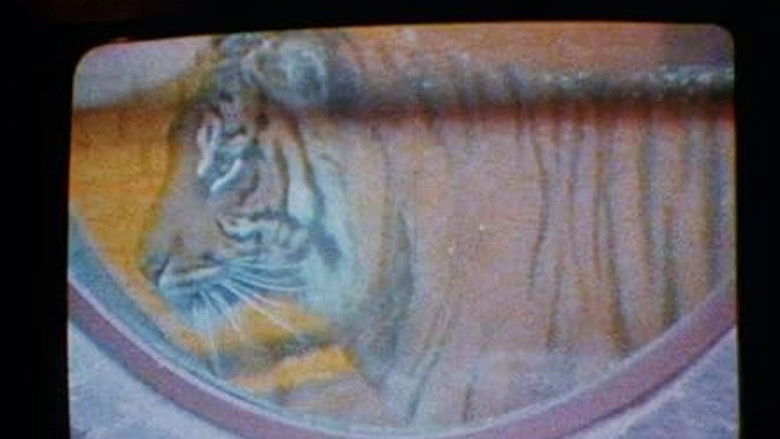 кадр из фильма The Mark of Lilith