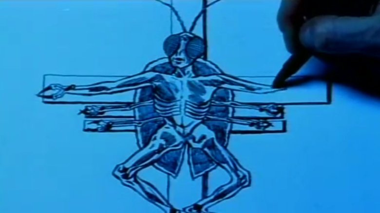 кадр из фильма Autobiography of an Insect