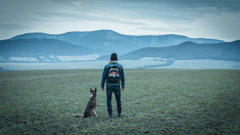 кадр из фильма Лицо