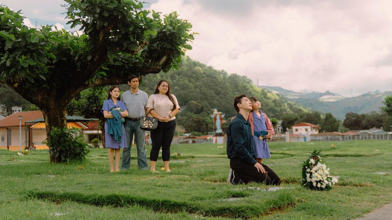 кадр из фильма Mujigae