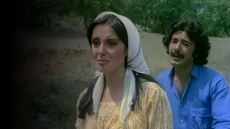 кадр из фильма Yuvasız Kuşlar