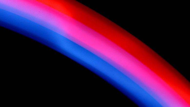 кадр из фильма Photosynthesis