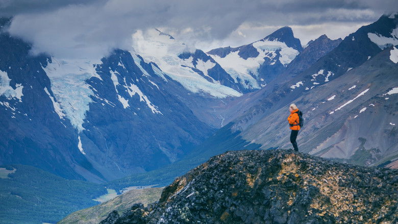 кадр из фильма Wild Life