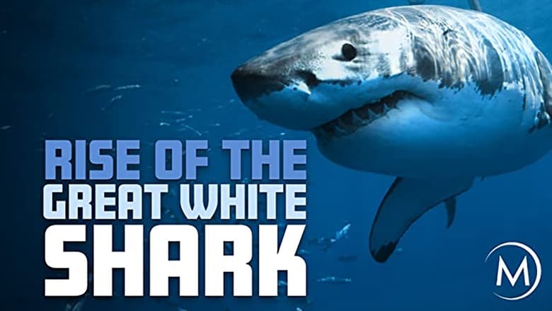 кадр из фильма Rise Of The Great White Shark
