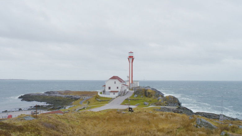 кадр из фильма Dumping Day