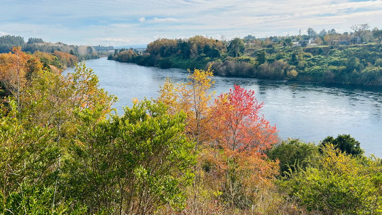 кадр из фильма Doppelgänger