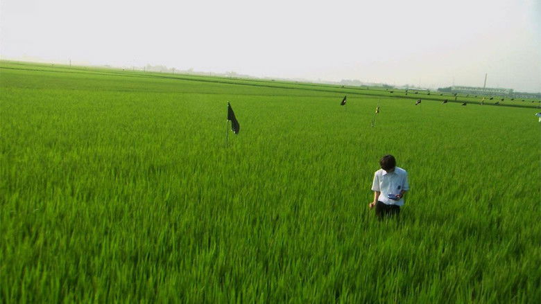 кадр из фильма Всё о Лили Чоу-Чоу