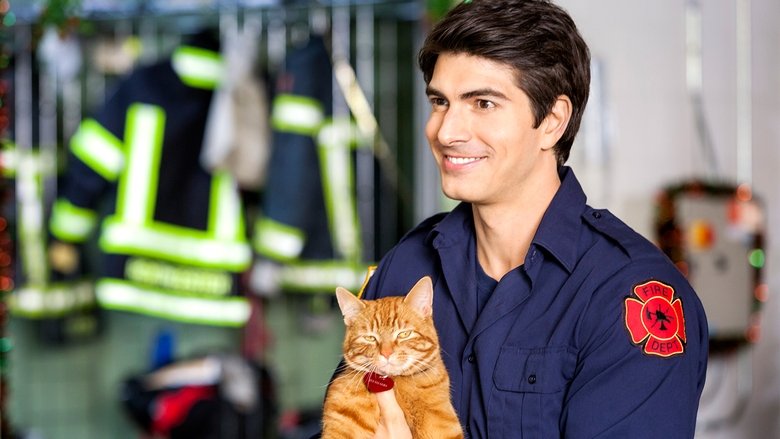 кадр из фильма Девять жизней Рождества