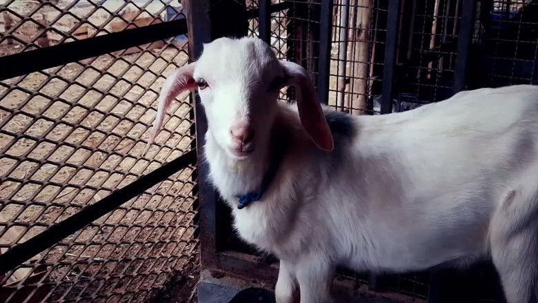 кадр из фильма Natureza