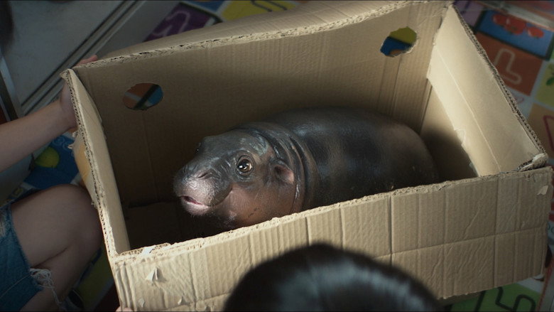 кадр из фильма ฟู้ดทรัค ลัก (รัก) หมูเด้ง