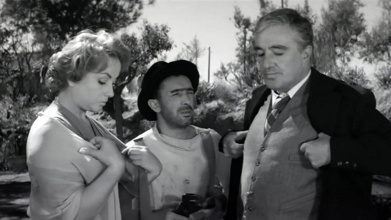 кадр из фильма Врач и знахарь