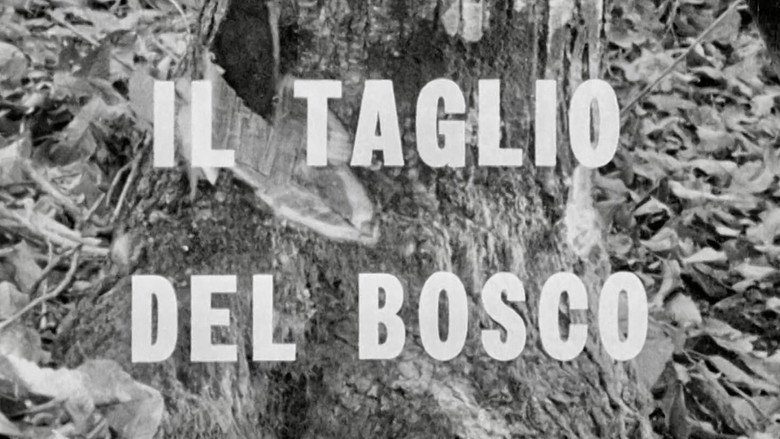 кадр из фильма Il taglio del bosco