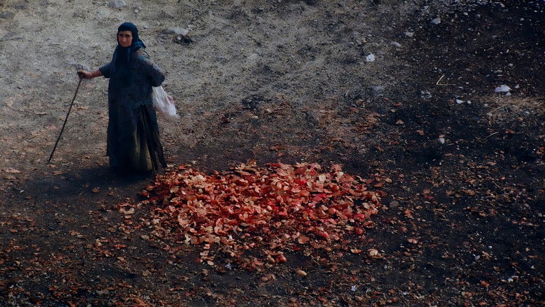 кадр из фильма زاگرۆس