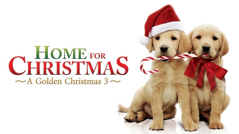 кадр из фильма A Golden Christmas 3