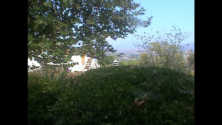 кадр из фильма Swan