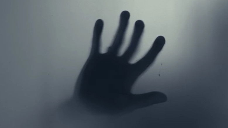 кадр из фильма The Vikar