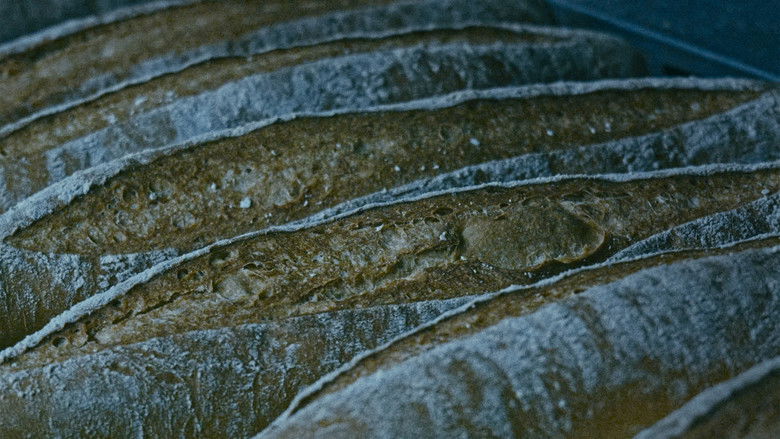 кадр из фильма La Mecánica del Cine